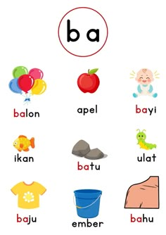 an english language worksheet with pictures and words for children to learn the letter b