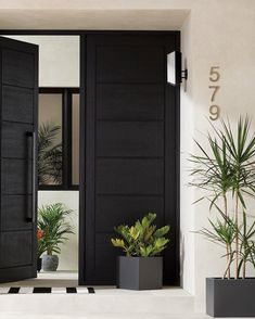 two potted plants in front of a black door