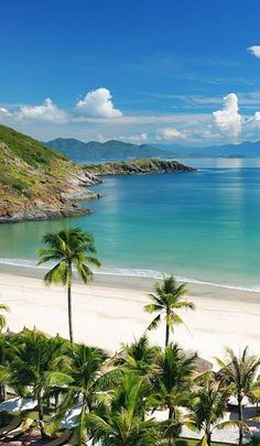 the beach is surrounded by palm trees and blue water