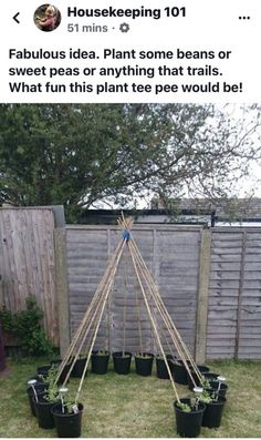 a teepee is made out of plants in the yard