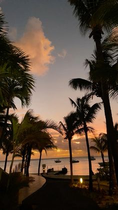 palm trees and boats on the water at sunset