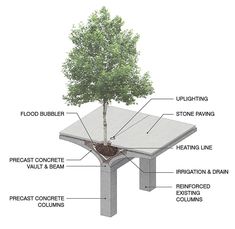 the structure of a tree is labeled