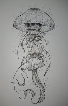 an ink drawing of a jellyfish