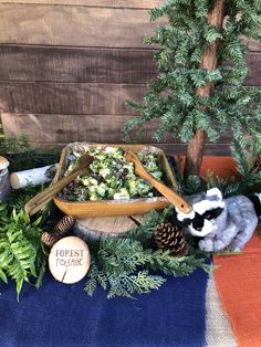 there is a stuffed raccoon sitting in front of a forest food bowl and pine cones