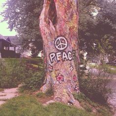 a peace sign painted on the bark of a tree