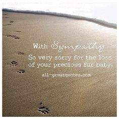 Loss Of Pet Sympathy Quotes For Loss Of A Pet Sympathy Messages | all-greatquotes.com Get Well Card Messages, Sympathy Card Sayings, Loved And Lost, I Still Miss You, Sympathy Messages