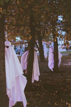 several white cloths hanging from trees in a park