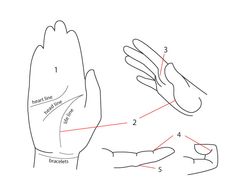 the diagram shows how to draw hands with fingers