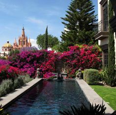 an outdoor pool surrounded by flowers and greenery in front of a large building with spires