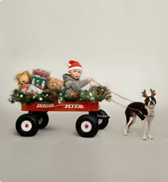 a dog pulling a wagon with teddy bears and christmas decorations on the front, while another dog watches