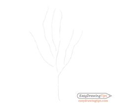 a drawing of a tree branch with no leaves on it's branches, and the words easy drawing tips written below