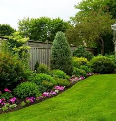 a lush green yard with flowers and trees