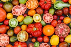 many different types of tomatoes and other vegetables