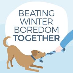 a brown dog pulling on a rope with the words beating winter boredom together above it