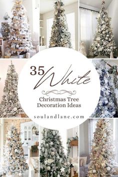 christmas tree decorating ideas with white and silver trees in different styles, sizes and colors