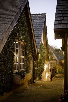 an alley way with many windows and plants growing on the side of it at night