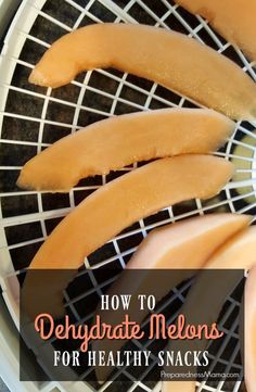 how to dehydraate melons for healthy snacks on the grill with text overlay