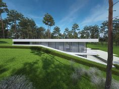 an artist's rendering of a modern house in the middle of a grassy area