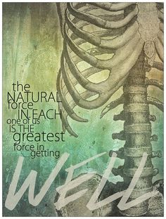 Greatest Force in Getting Well Chiropractic Medical Poster Artwork Chiropractic Artwork, Chiropractic Marketing, Medical Poster, Work Decor, Chiropractic Clinic, Medical Posters, Family Chiropractic, Nature Words