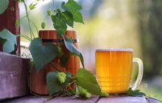 a glass of beer sitting on top of a wooden table next to a bottle and hops