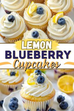 lemon blueberry cupcakes with white frosting and fresh blueberries on top