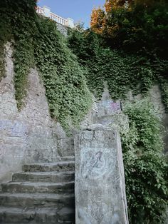 an old set of stairs with ivy growing up the side