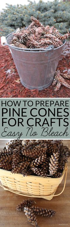 how to prepare pine cones for crafts