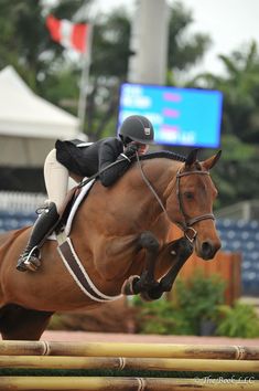 a person riding on the back of a brown horse jumping over an obstacle in front of a large screen