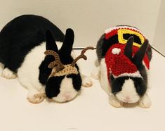 two small animals wearing costumes on top of a white table next to eachother