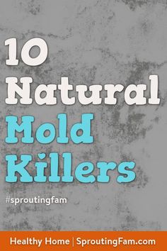 the words 10 natural mold killers are in front of an orange and gray background