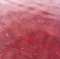 the water is pink and red with bubbles