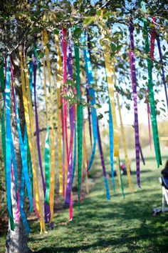 colorful streamers hanging from trees in the grass