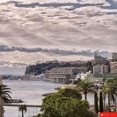 the city is surrounded by water and palm trees, with boats in the bay behind it