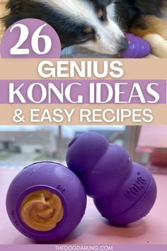 a collage of dog toys with text overlay that reads, 20 genius kong ideas and easy recipes