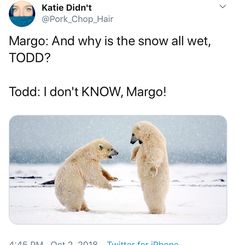 two polar bears standing next to each other in the snow with caption that reads, mario and why is the snow all wet, todd?