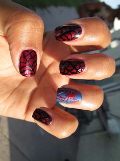 spider man nails Nails Spiderman, Pink Spiderman, Spider Man Avengers, French Tip Short, Hello Kitty And Spiderman, Spiderman Nails, Superhero Nails, Spiderman Background, Avengers Nails