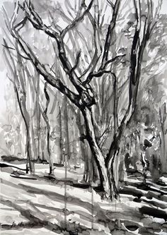 black and white drawing of trees in the snow