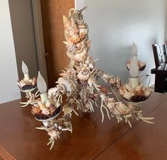 an arrangement of seashells and candles on a table