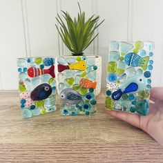 a hand is holding two glass blocks with fish on them and a plant in the background