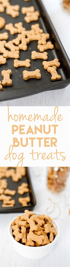 homemade peanut butter dog treats in a white bowl and on a black tray with the words homemade peanut butter dog treats