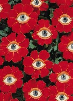 red flowers with green eyes in the middle