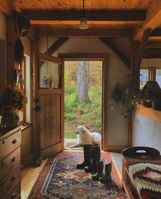 there is a dog that is sitting on the rug in front of an open door