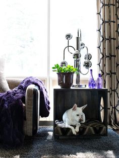 a white dog laying on top of a bed in a living room next to a window