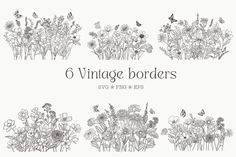 six vintage borders with wildflowers and butterflies in black and white, on a white background