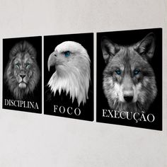 three different types of animals on black and white canvases with the words dispina, foco, execucao