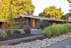 a modern house with landscaping in front of it and trees around the entrance area on either side