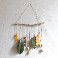 a wall hanging made out of branches with fruit and leaves attached to the hooks on it