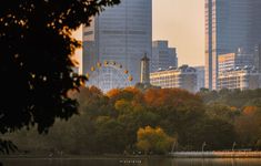 the city skyline is reflected in the still waters of this lake, with ferris wheel in the distance