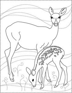 an adult deer and baby deer are standing in the grass coloring page for kids, with lines