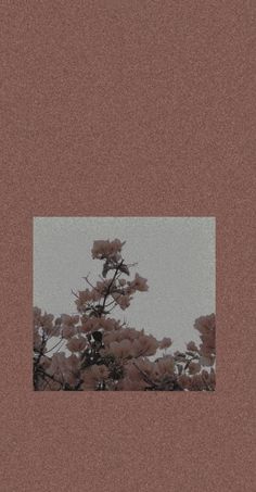 a tree with pink flowers in the foreground and a gray sky in the background